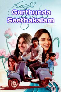 Gurthunda Seethakalam (2022) Dual Audio Stunning [Hindi-Telugu] UnCut HD WEB-DL [Full Movie] – 480P 720P 1080P – ESub Download & Watch Online