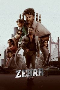 Zebra (2024) Hindi AMZN WEB-DL [Full Movie] –480P 720P 1080P–Esub Download & Watch Online