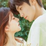 Hidden Love (2023) S01 Chinese Netflix WEB-DL [Full Series]– 480P 720P 1080P – ESub – Download & Watch Online
